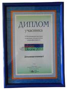 Thumb elcom ukreine 2013 %d0%b3.