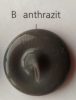 Силиконовый герметик Ramsauer 450 антрацит / antrazit (RAL 7043)