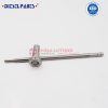 Common Rail Injector Valve FOORJ00339