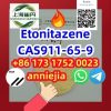 Etonitazene CAS911-65-9