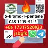 5-Bromo-1-pentene CAS 1119-51-3