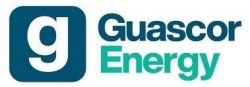 Запасные части Guascor Energy